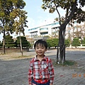 DSCN3126