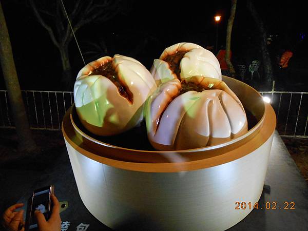 DSCN3539