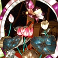 DSCN3535