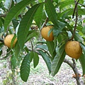 DSCN3586