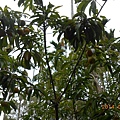 DSCN3583