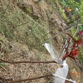 DSCN3605