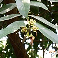DSCN3663