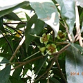 DSCN3659
