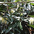 DSCN3658