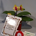 DSCN3706