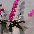 DSCN3688