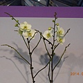 DSCN3700