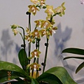 DSCN3708