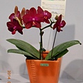 DSCN3703