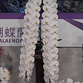 DSCN3697