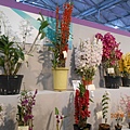 DSCN3671