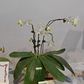 DSCN3676