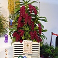 DSCN3710