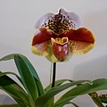 DSCN3745