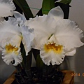 DSCN3756