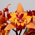 DSCN3765