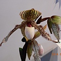 DSCN3752