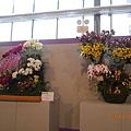 DSCN3665