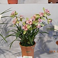 DSCN3768
