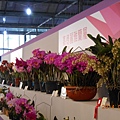 DSCN3753