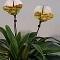 DSCN3746