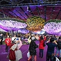 DSCN3781