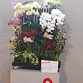 DSCN3776