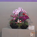 DSCN3777