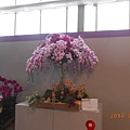 DSCN3668