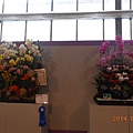 2014台灣國際蘭展103.3.8