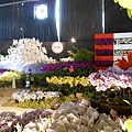 DSCN3786