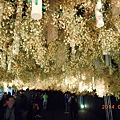 DSCN3790