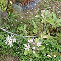 DSCN3825