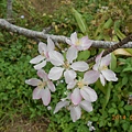 DSCN3827