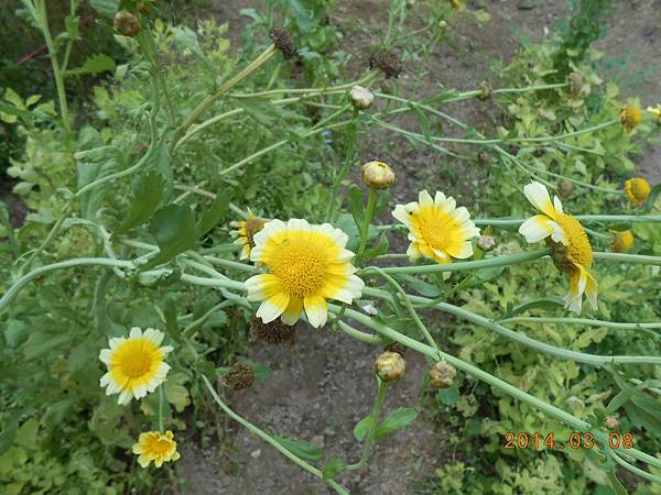 DSCN3847