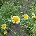 DSCN3847