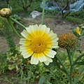 DSCN3852
