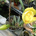 DSCN4108