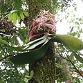 DSCN4346