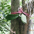 DSCN4347