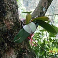 DSCN4342
