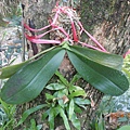 DSCN4345