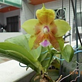 DSCN4353
