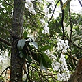 DSCN4258