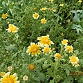 DSCN4228