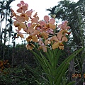 DSCN1279