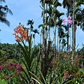 DSCN0299