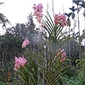 DSCN3120