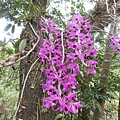 DSCN4514